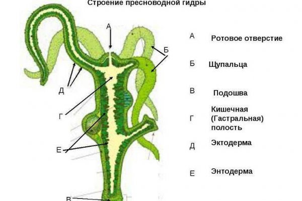 Кракен сбой