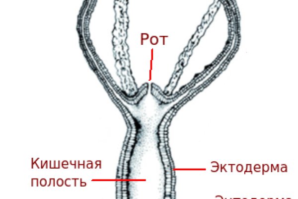 Кракен тор kraken014 com