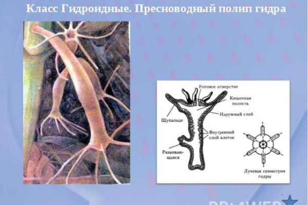 Официальный сайт кракен тор