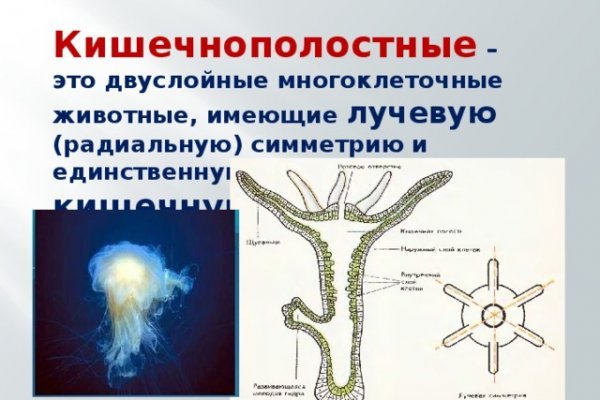 Ссылка кракен kr2web in